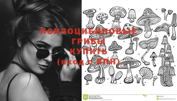 ECSTASY Армянск
