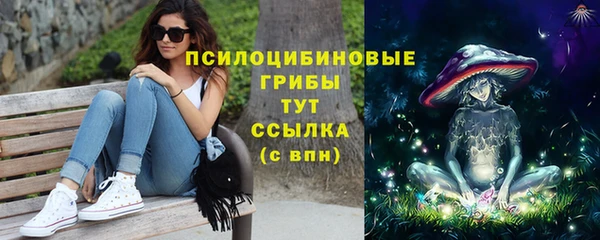 ECSTASY Армянск